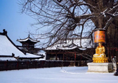 图片名